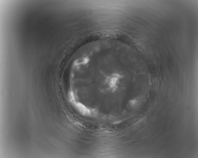 X0000068770913200605121657