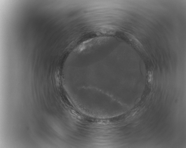 X0000068770915200605121657