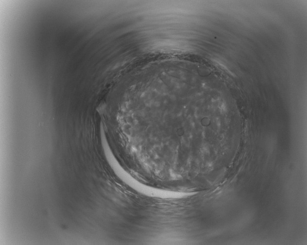 X0000068770917200605121657