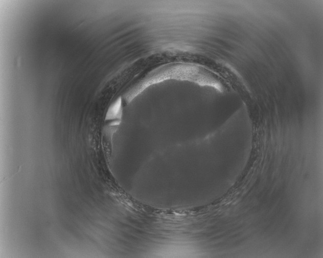 X0000068770919200605121657