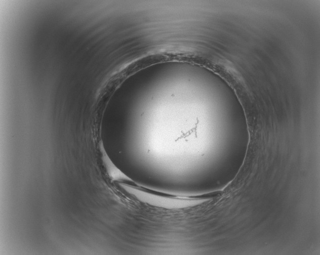 X0000068770920200605121658