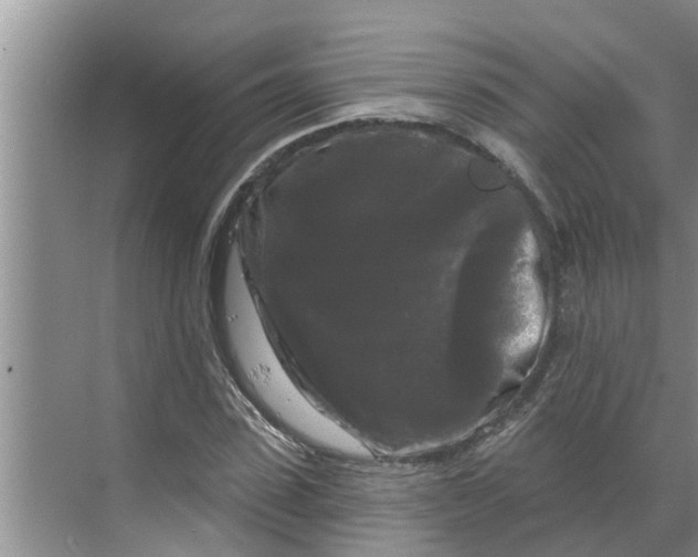 X0000068770923200605121658