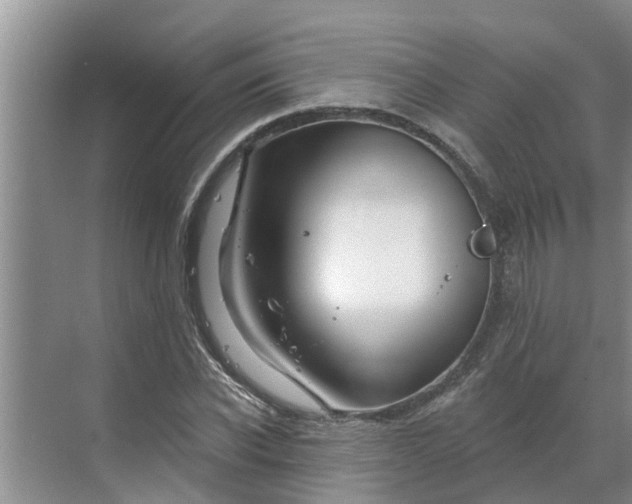 X0000068770926200605121658