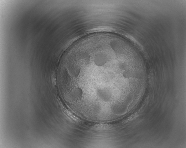 X0000068770929200605121658