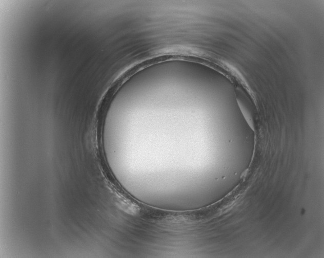 X0000068770931200605121658