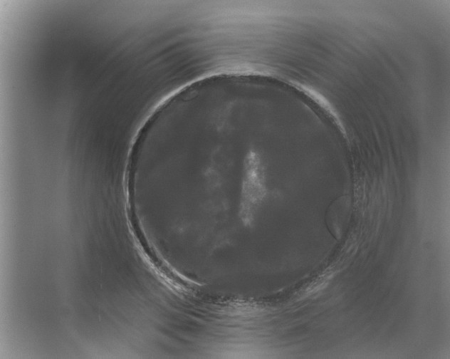 X0000068770935200605121658