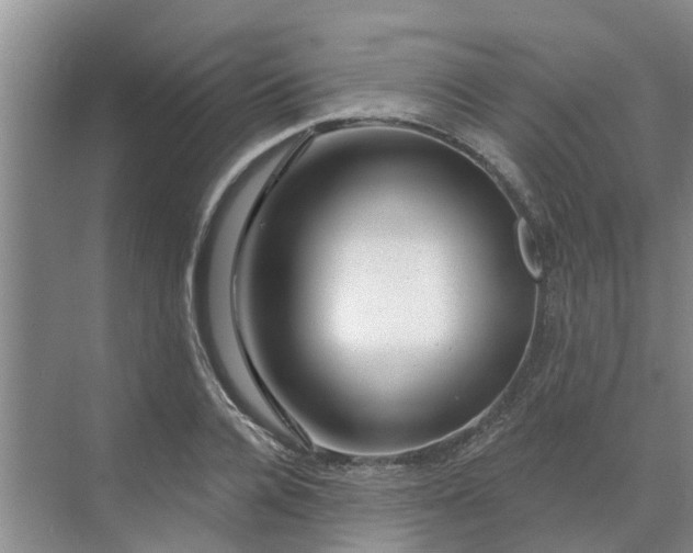 X0000068770936200605121658