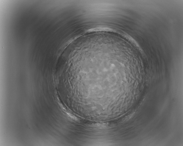 X0000068770937200605121658