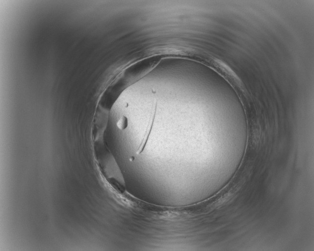 X0000068770938200605121658