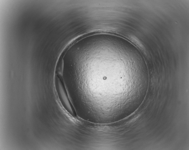 X0000068770940200605121658