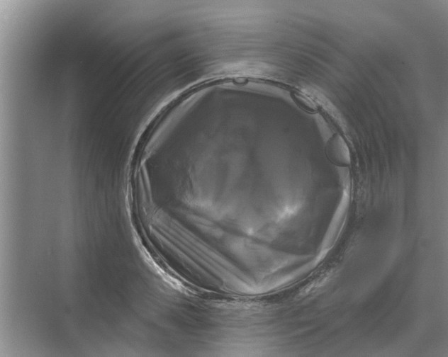 X0000068770941200605121658