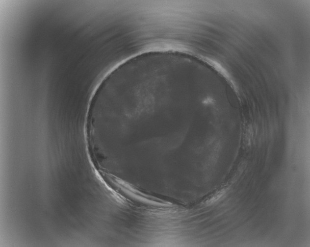 X0000068770943200605121658