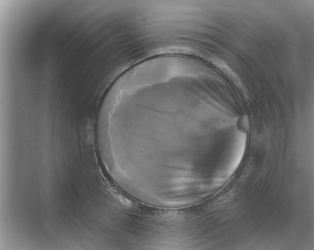 X0000068770945200605121658