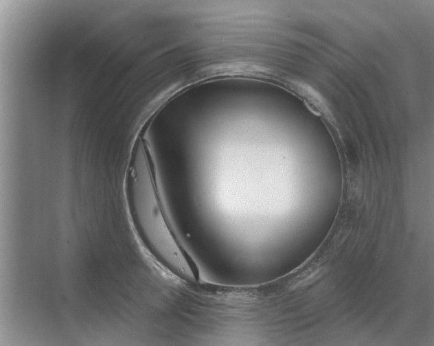 X0000068770946200605121658