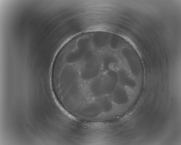 X0000068770949200605121658