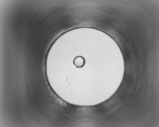 X0000068770950200605121658