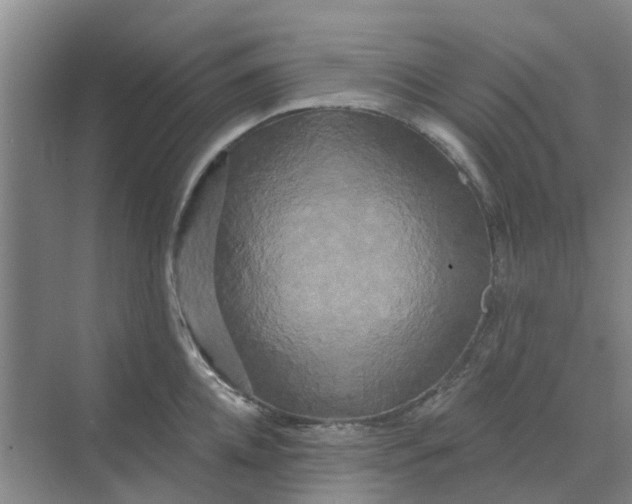 X0000068770952200605121658