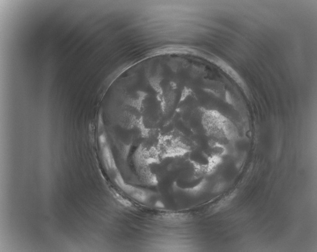 X0000068770953200605121658