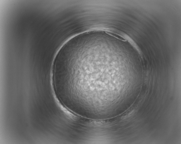 X0000068770955200605121658