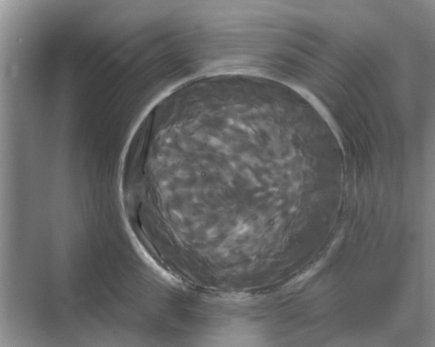 X0000068770957200605121658