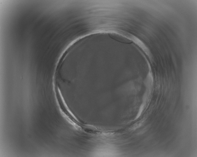 X0000068770958200605121658