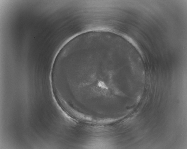 X0000068770959200605121658