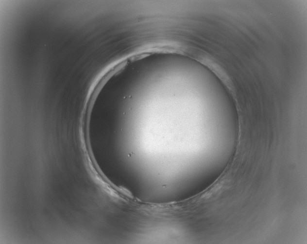 X0000068770960200605121658