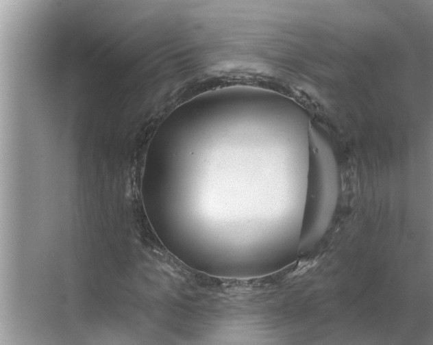 X0000068770965200605121657