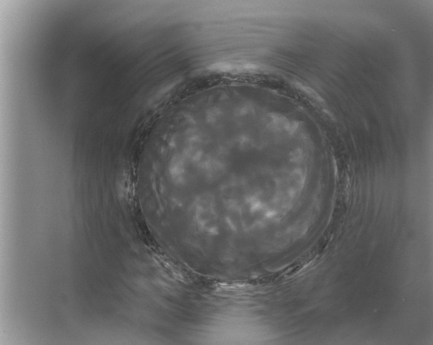 X0000068770966200605121657