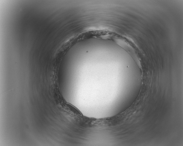 X0000068770967200605121657