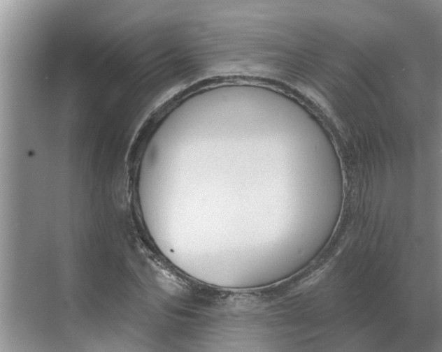 X0000068770974200605121657