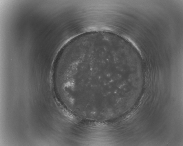 X0000068770975200605121657