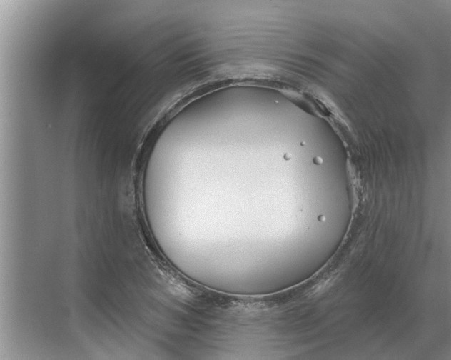 X0000068770978200605121657