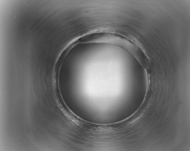 X0000068770981200605121657