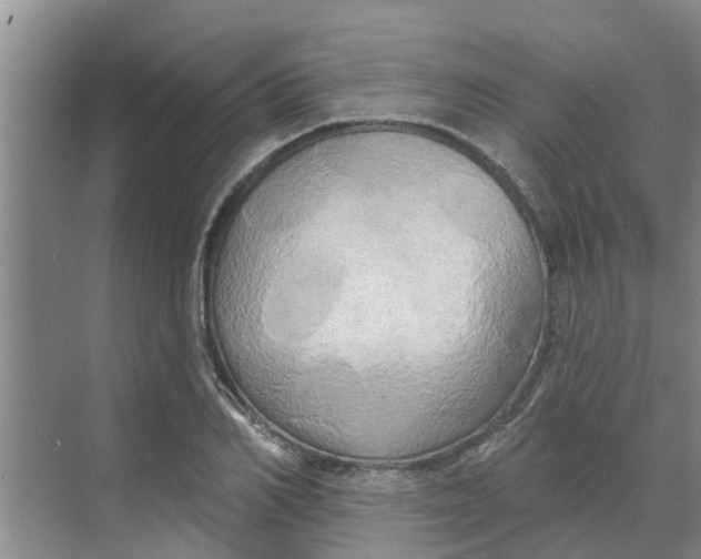 X0000068770982200605121657