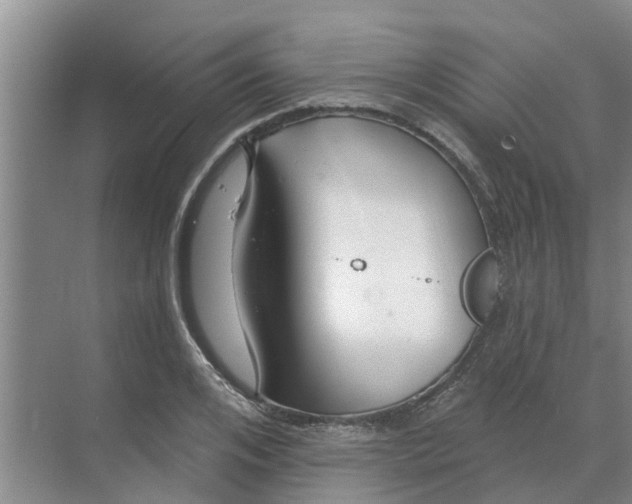 X0000068770984200605121657