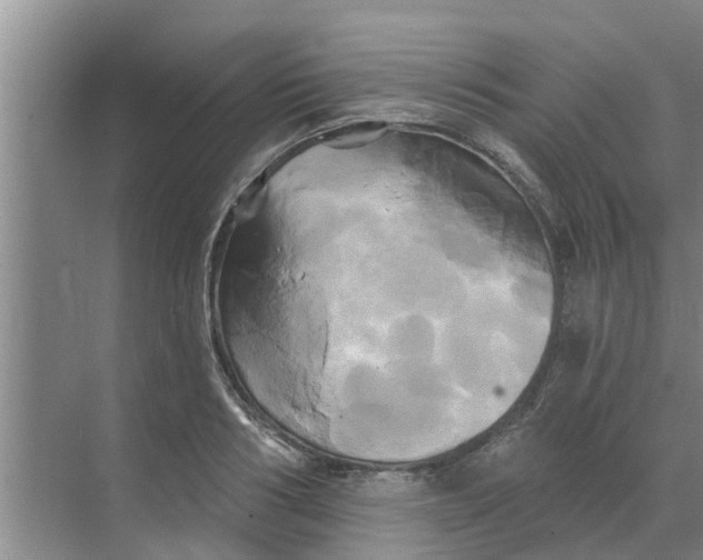 X0000068770986200605121657