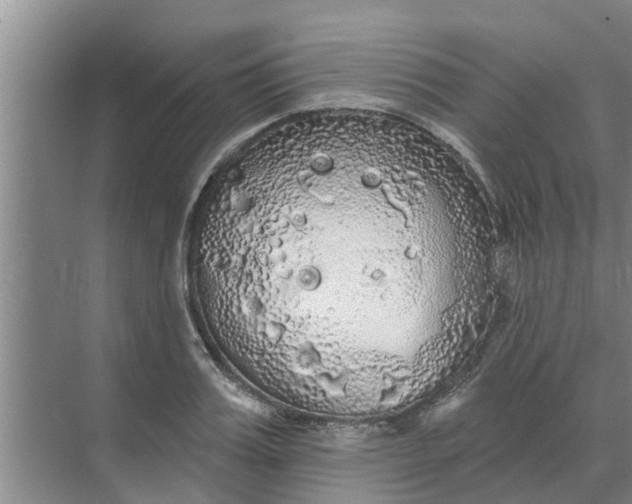 X0000068770987200605121657