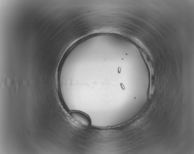 X0000068770988200605121657