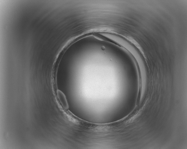 X0000068770989200605121657