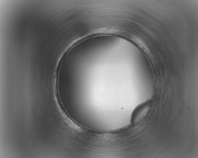 X0000068770992200605121657