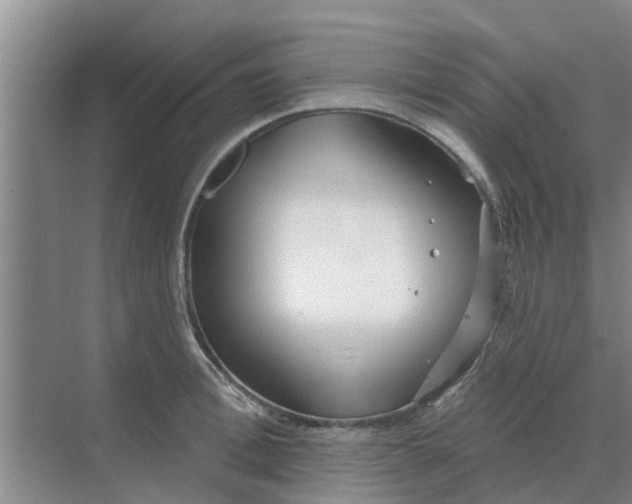 X0000068770996200605121657