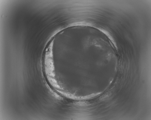 X0000068770998200605121657