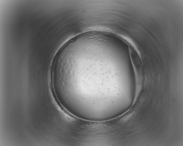 X0000068770999200605121657