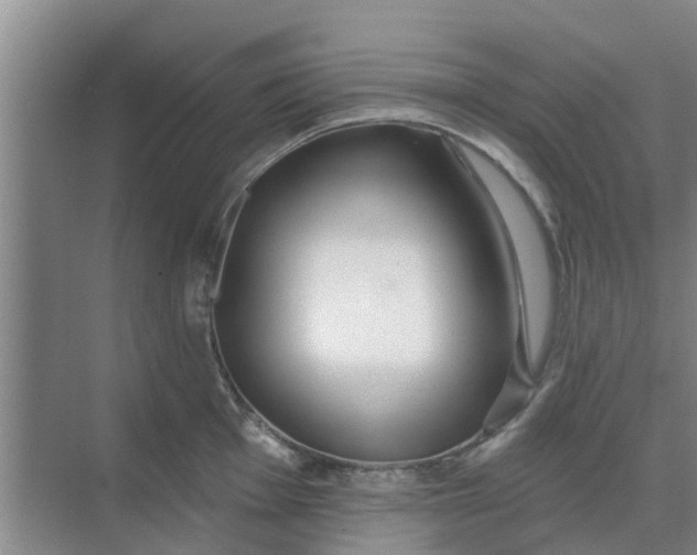 X0000068771001200605121657