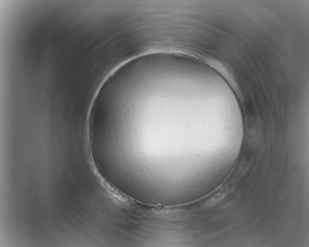 X0000068771004200605121657