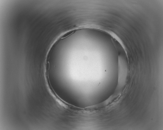 X0000068771005200605121657