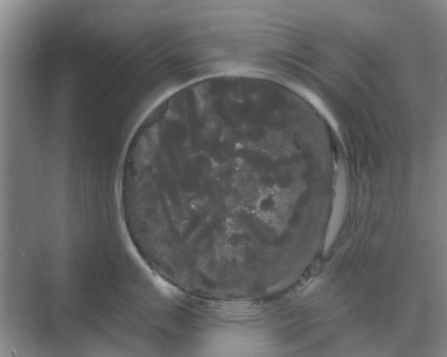 X0000068771007200605121657