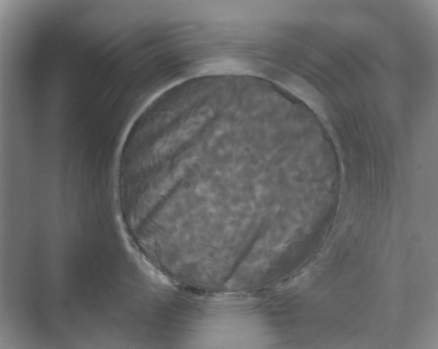 X0000068771008200605121657