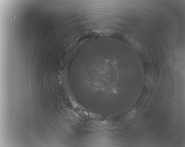 X0000068771010200605121656